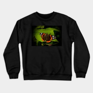 ADMIRATI Crewneck Sweatshirt